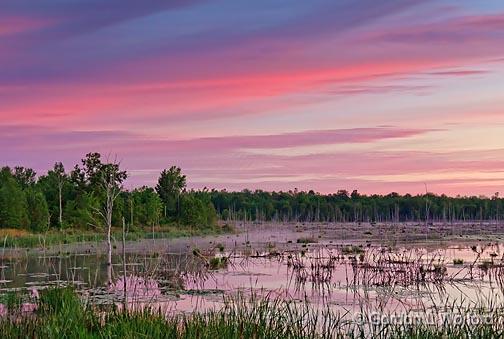 Marsh At Sunrise_13920-1.jpg - Photographed near Toledo, Ontario, Canada.